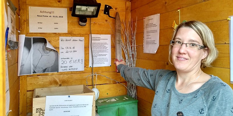 Sachbeschädigung: Eierdiebe sollen zur Anzeige gebracht werden – wenn sie sich nicht stellen