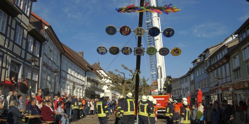 Der Maibaum steht, der Sommer kann kommen [mit Bildergalerie]