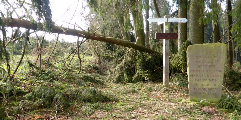 Wegen Lebensgefahr: Lokale Wanderwege wegen Sturmschäden auch weiterhin gesperrt