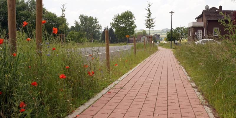 Ein sicherer Fußweg zum Sportzentrum und zurück: 1,5 Millionen Euro für die Dorfentwicklung