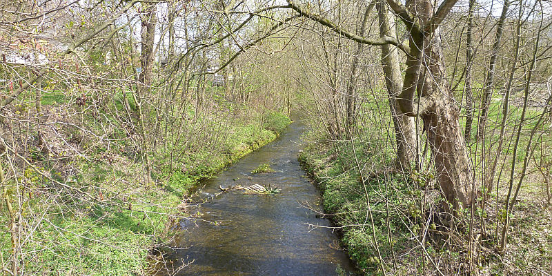 Renaturierung der Wispe in Delligsen