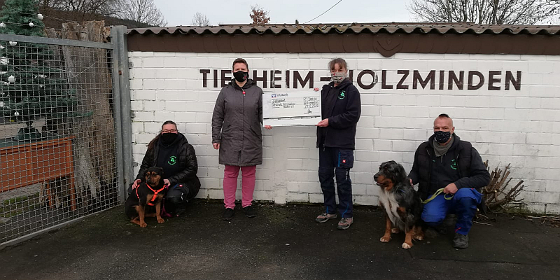 Spendenübergabe vom Ingenieurbüro Ludwig & Partner: Tierheim Holzminden freut sich über weihnachtliche Spende in Höhe von 300 Euro