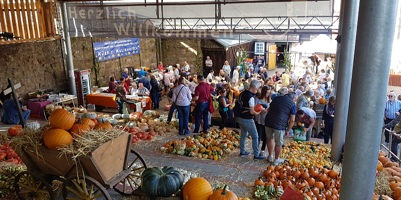 Kein Kürbismarkt 2020 auf der Poller Burg