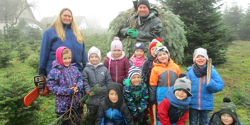 Deenser Kindergartenkinder fällen Weihnachtsbaum