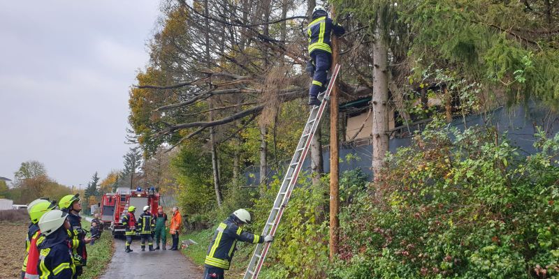 Baum fällt auf Telefonleitung