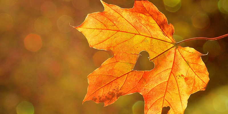 Auf zum 3. Herbstbasar nach Golmbach