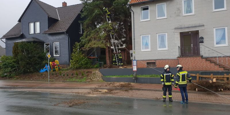 Bäume drohen auf Haus zu stürzen: Feuerwehr rückt aus