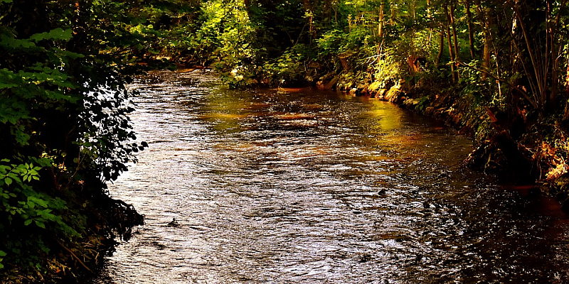 Öffentliche Bäche und Teiche sind nur bedingt Gemeingut: Größere Entnahme oder Umleitung braucht Genehmigung durch Wasserbehörde 