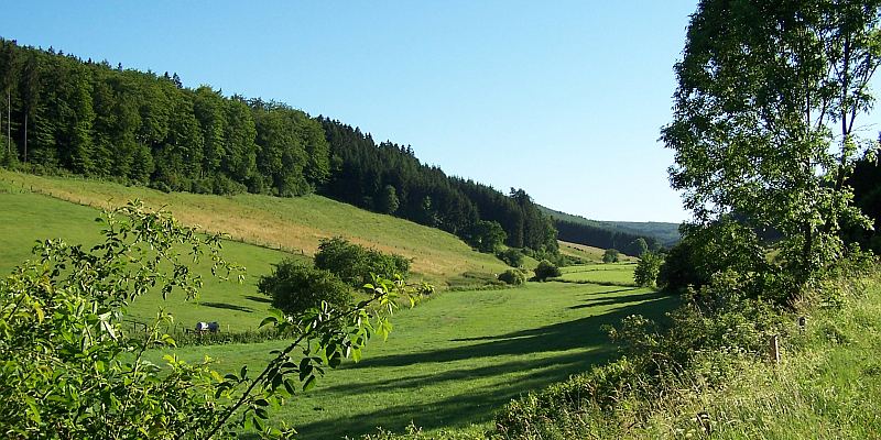 Glas plus: Im „Alten Tal der Glasmacher“ - Kulturhistorische Wanderung durch das Hellental