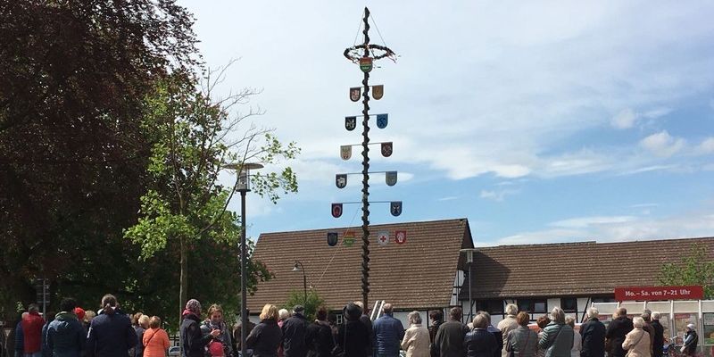 Maikäfer besucht Maibaumaufstellen in Bevern