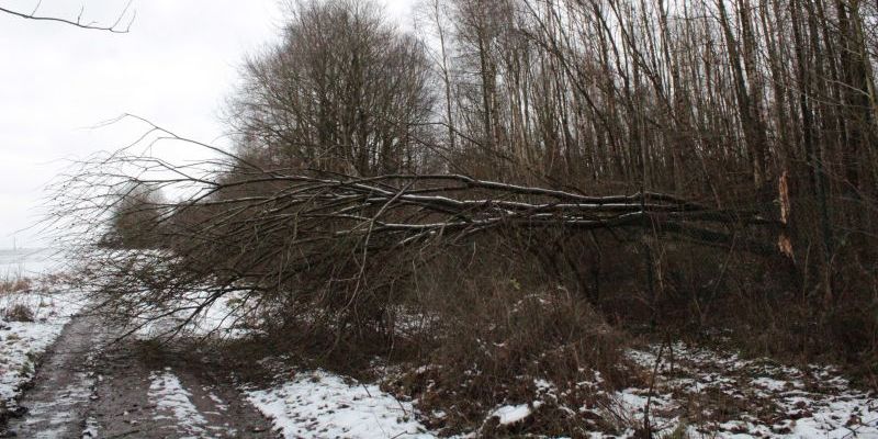 Schäden durch Sturm und Schnee