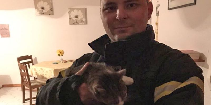 Tierrettung über Hubrettungsfahrzeug - Katze von Spitzdach gerettet