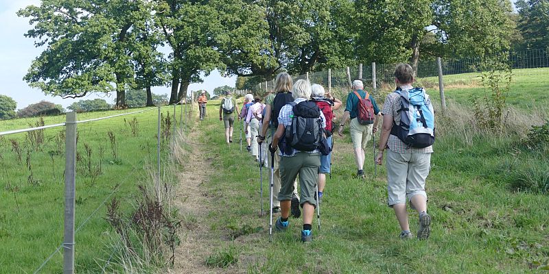 Wanderspaß im Solling - 33. Volkswandertag mit Kunsthandwerkermarkt