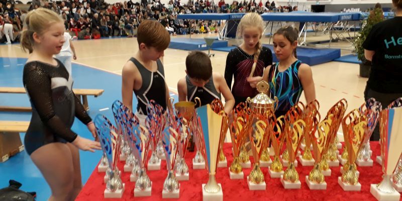 Der TSV Dielmissen und die TSG Münchhausenstadt Bodenwerder drei Mal auf Platz 4 beim Trampolinwettkampf in Hamburg