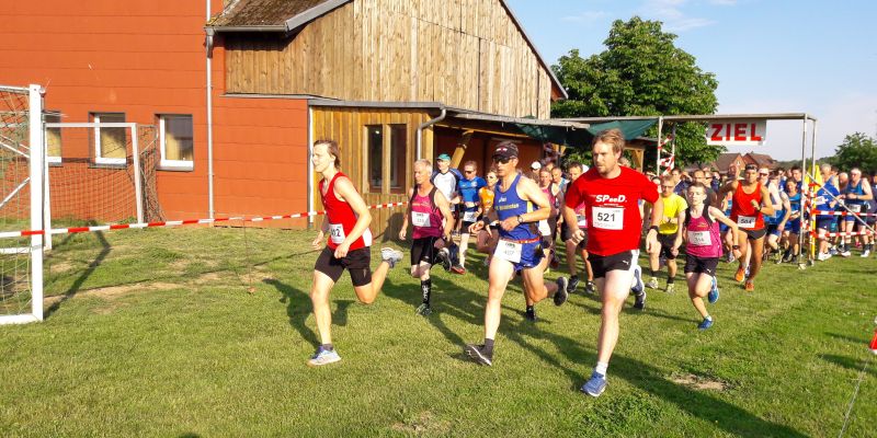 Erfolge bei den Crosslauf Kreismeisterschaften in Wangelnstedt – TC Jahn Hehlen mit drei Teilnehmern am Start