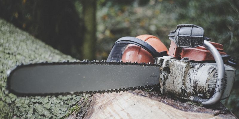 Warum Grünschnitt nicht einfach in die Natur gehört - NABU Holzminden informiert