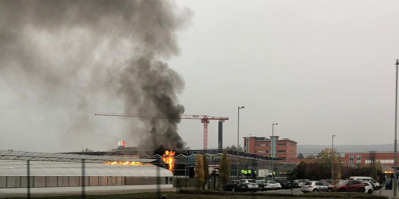 Feueralarm bei KWS Saat SE - Gewächshaus steht in Flammen