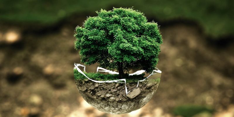 Kostenlose Fortbildung für ErzieherInnen zu Konsum, Suffizienz und Klimaschutz