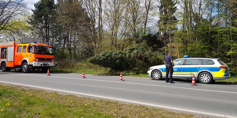 Feuerwehr Holzminden beseitigt umgestürzte Tanne 