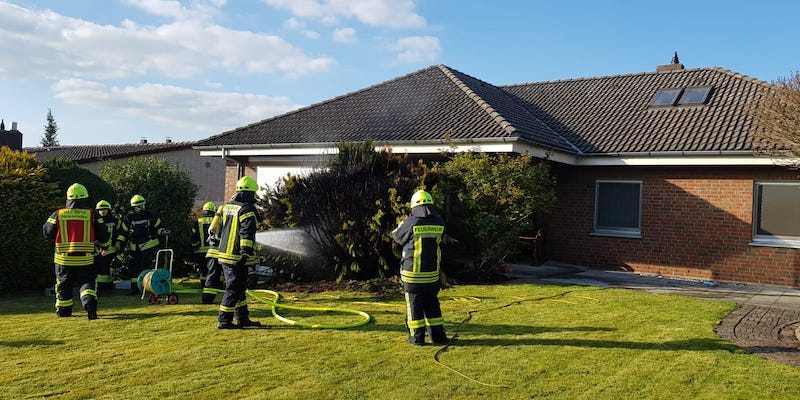 Trockener Lebensbaum fängt Feuer: Einsatzkräfte verhindern Schlimmeres