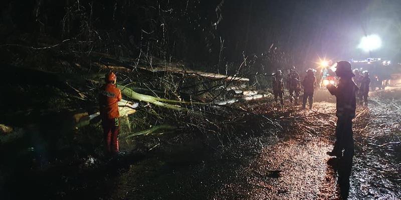 Feuerwehr Hehlen im Einsatz: Baum kippt um und versperrt Straße 