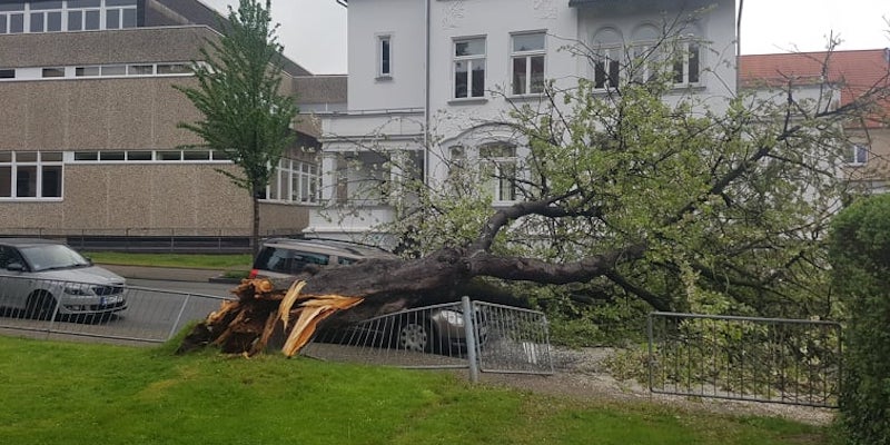 Baum fällt vom Grundstück auf die Straße - PKW und Stahlzaun beschädigt