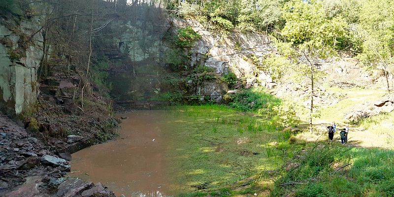 NABU Naturschutzprojekt: Eine Oase der Natur inmitten der Zivilisation